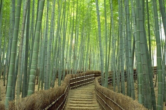 Arashiyama Bamboo & "Must See" Gardens with an Amazing Guide - Price and value: what you really pay for at $120 per person
