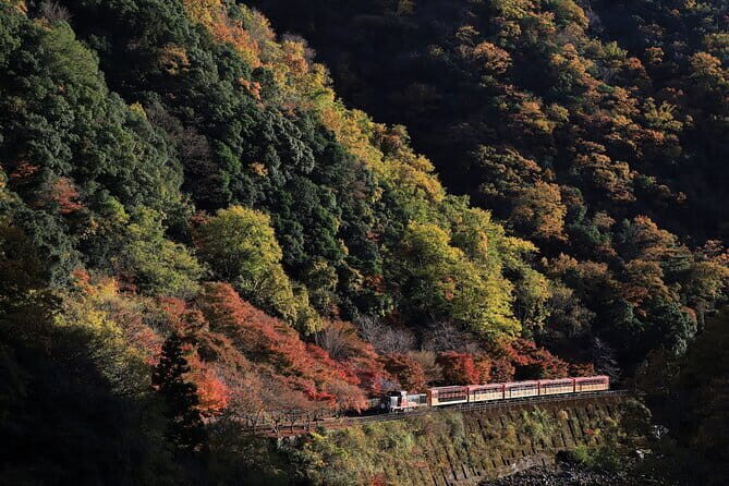 Arashiyama Walking Tour with Optional Sagano Romantic Train Ride - Key highlights worth planning for