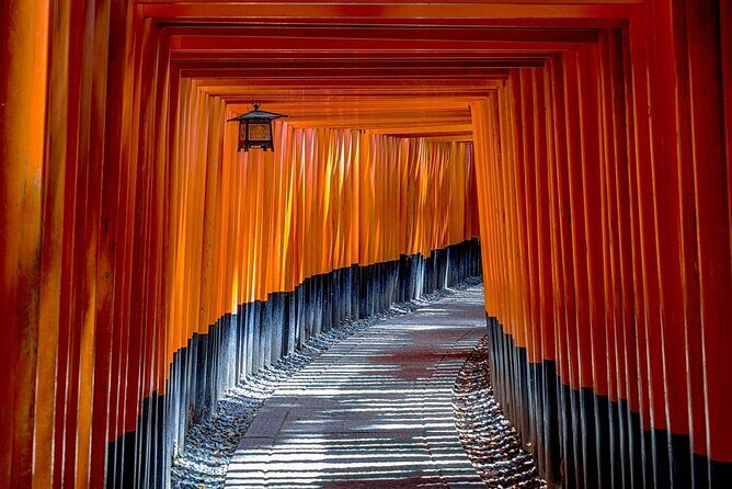 Customized Private Kyoto Tour by a local tour guide - Price and what you’re really paying for ($171.91 per person)