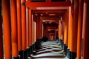 Discover Kyoto by Bike Full Day Tour - Meeting point and timing: what your morning looks like