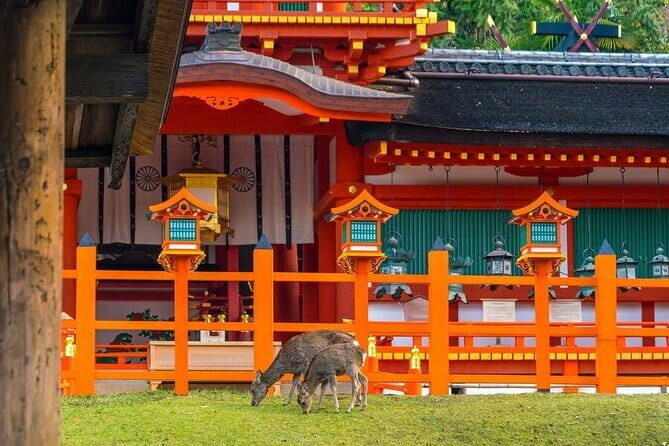 Early Half Day to Kyoto Highlights - Price and value: what you pay versus what you still cover