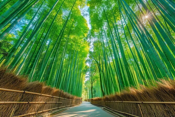 From Kyoto / Osaka: Kyoto Must-see Spots & Nara Park One Day Tour - Key things to know before you go