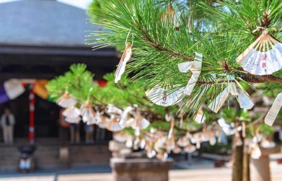 FromOsaka/Kyoto:Hiroshima & Miyajima Private Tour with Lunch - Price and value: is $784 per group up to 6 actually fair