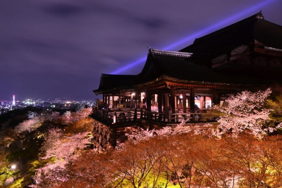 Higashiyama | Kyoto: Sakura Season Private Rickshaw Tour - Why a Higashiyama rickshaw makes Kyoto’s sakura season feel personal