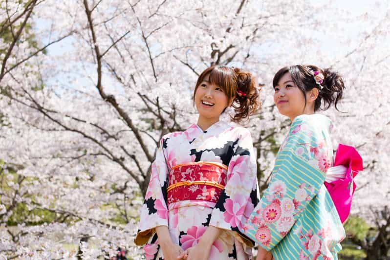 Kyoto: 1 Day:Traditional Japanese Kimono Rental Experience - Quick take: what makes this kimono day work