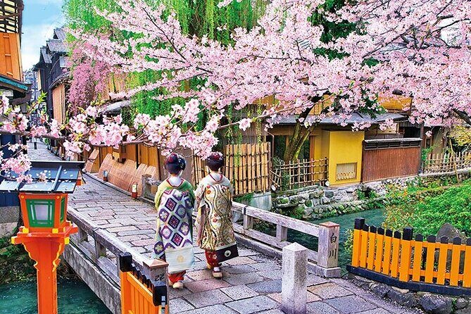 Kyoto 5-Star Geisha Night Walk: Small-Group Authentic Experience - Meeting point, timing, and why 5:20 pm is a good choice