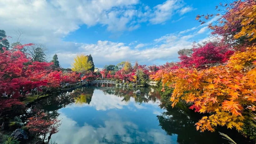 Kyoto and Nara: Private Customized Tour with Guide & vehicle - Kasuga Taisha and the lantern-lined pathways