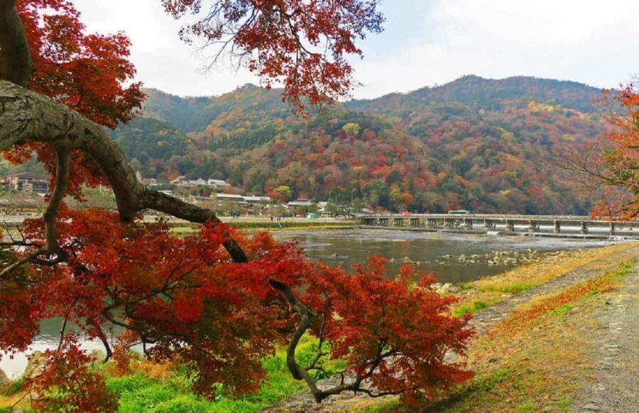 Kyoto: Arashiyama Bamboo, Togetsukyo bridge, Sanso, and more - What to bring (and how to dress) so the walking feels good