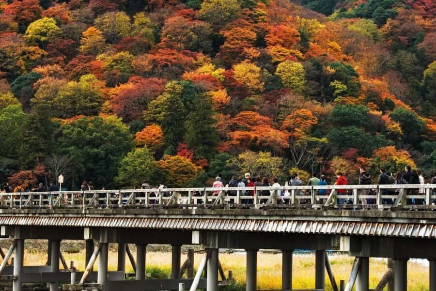 Kyoto: Arashiyama Bamboo, Togetsukyo bridge, Sanso, and more - Price and value: what $26 really covers