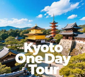 Kyoto: Customizable Full-Day Tour with Privarte Transfers - Price and logistics: what you’re really paying for