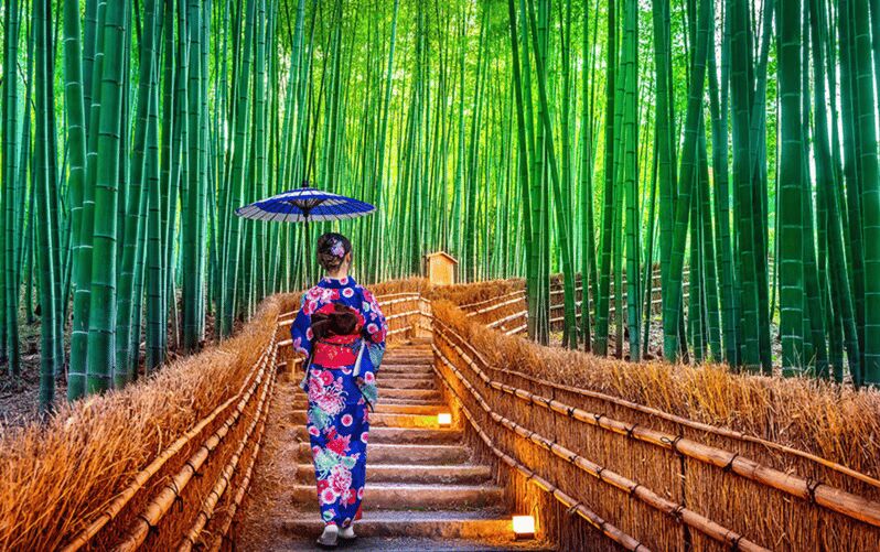 Kyoto Day Tour with Certified Tour Guide & Luxury vehicle - Price and group value for a 10-hour Kyoto day tour