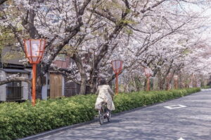 Kyoto E-Bike Tour of Hidden Gems, Backstreets and Temples - Getting started in Gion: meeting point and what to plan