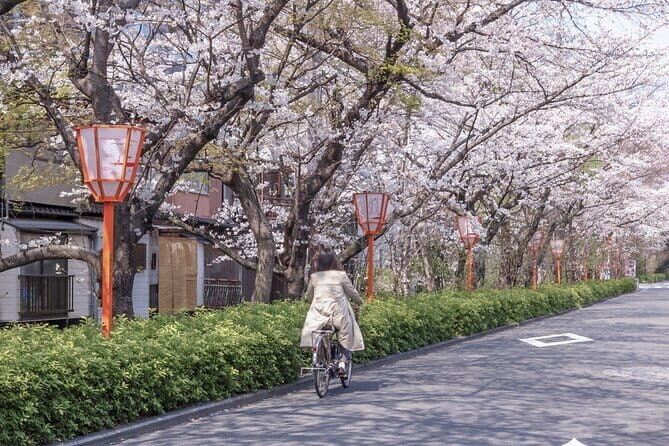 Kyoto E-Bike Tour of Hidden Gems, Backstreets and Temples - Getting started in Gion: meeting point and what to plan