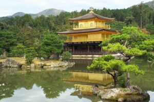 Kyoto Early Riser Golden One-Day Walking Tour - Stop 2: Arashiyama Bamboo Forest Light Through the Grove