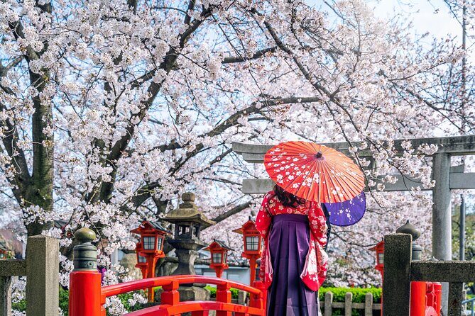 Kyoto Full Day (8 hours) Ultimate Sightseeing Private Tour - Stop 4: Gion Walk for Traditional Streets and a Slower Landing