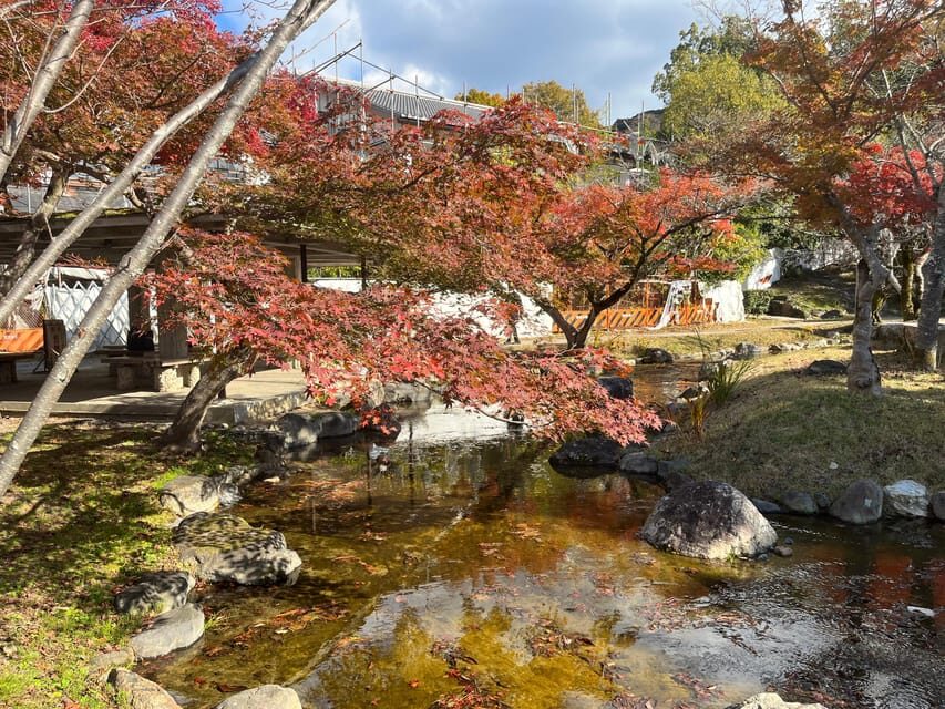 Kyoto: Half-Day Private Guided Tour to the Old Town of Gion - Maruyama Park: the nature break you’ll actually appreciate