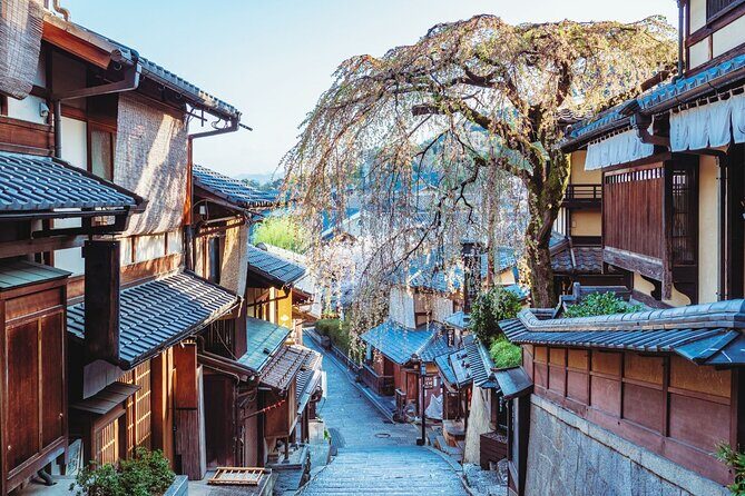 Kyoto Higashiyama Walking Private Tour - Key highlights if you want the best of Higashiyama