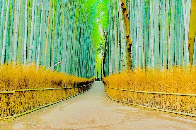Kyoto Highlights Private Car Day Tour with English Speaking Guide - Why a private car day makes Kyoto feel doable