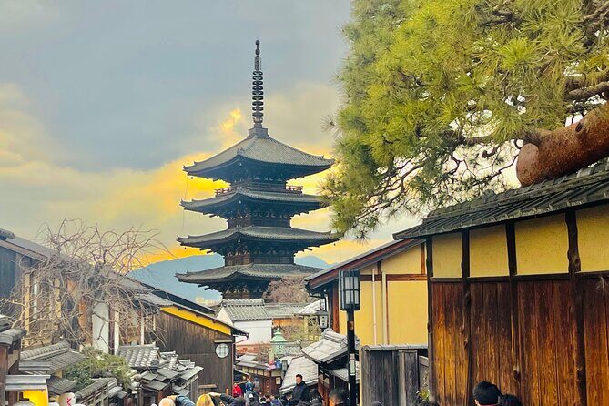 Kyoto Highlights Private Car Day Tour with English Speaking Guide - Arashiyama Bamboo Forest and Tenryu-ji Temple