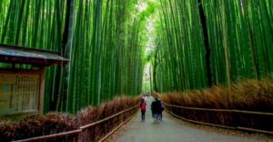 Kyoto: Japanese Gardens Private Customizable Tour - How the customizable 6-hour route actually plays out