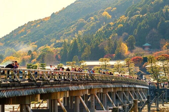 Kyoto & Nara Day Tour: Golden Pavilion, Fushimi Inari & Deer Park - Key highlights worth your attention