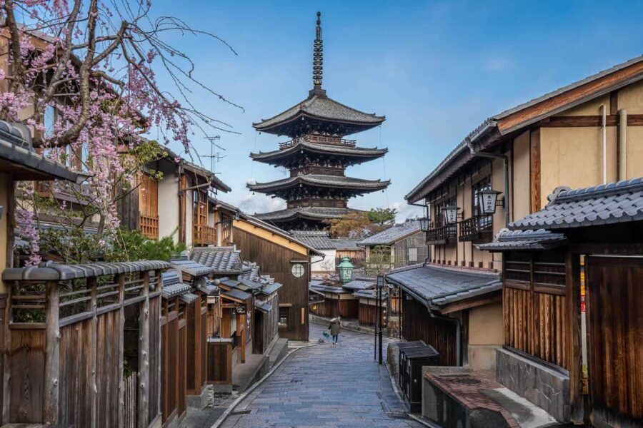Kyoto & Nara Private Customized, Guided Tour - Price and value: $438 for up to 6 people, plus a few add-ons