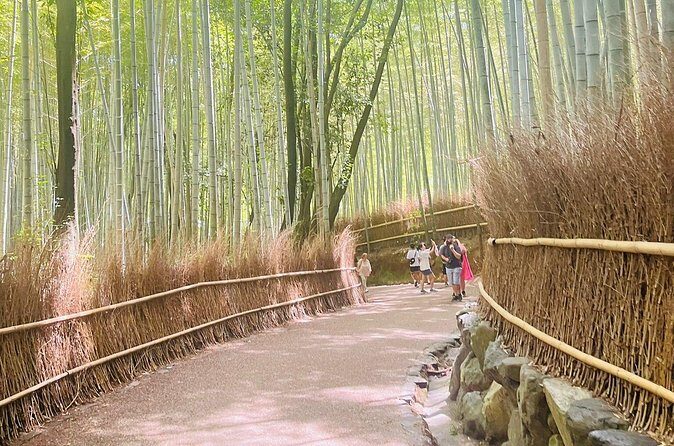 Kyoto & Nara: Private Day Tour by luxury Vehicle & English Guide - Todai-ji and the Great Buddha: a 30-minute hit with big impact