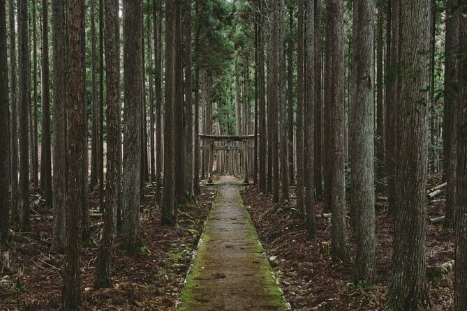 Kyoto & Nara Private Tour from Osaka Kyoto Hotel Pick-up - Fushimi Inari-taisha: torii gates for prosperity and perspective