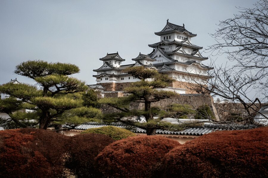 Kyoto/Osaka: Kobe & Himeji Journey Through Culture & History - Kobe Chinatown (Nankinmachi): Street Food Mood, Photo-Friendly Streets