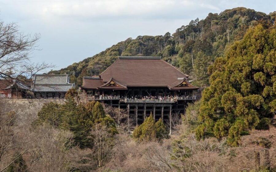 Kyoto: Personalize, private tour (3h, 5h, 8h) [W/Car Option] - Who Should Book This Kyoto Private Tour (and Who Shouldn’t)