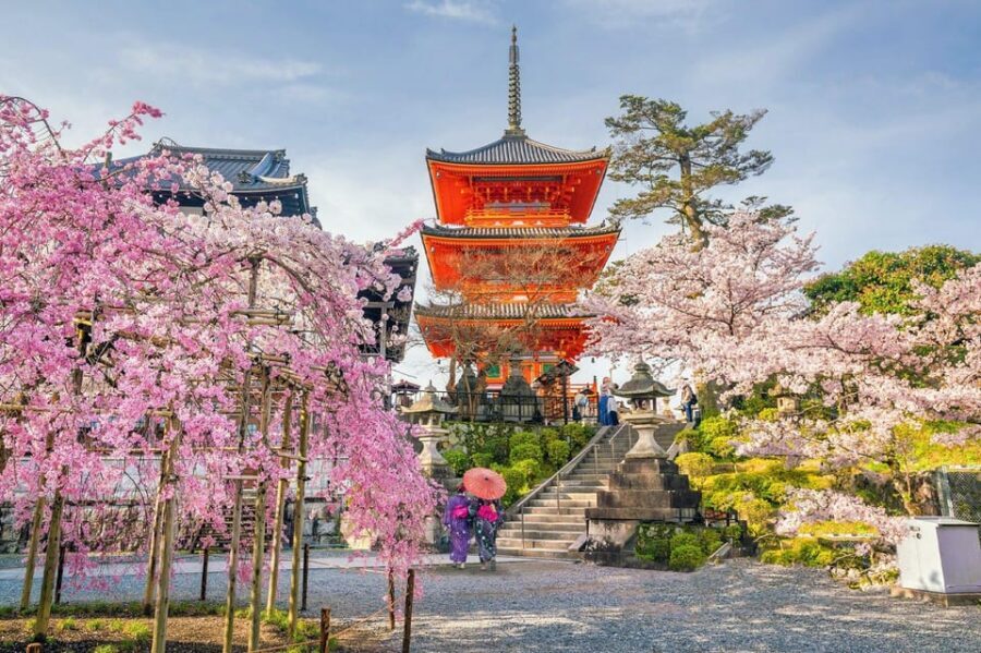 Kyoto: Private Customizable Guided tour with Luxury Vehicle - Key things to know before you go