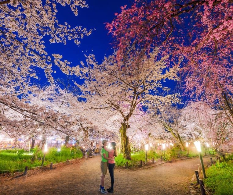 Kyoto: Private Customizable Guided tour with Luxury Vehicle - Sanjusangen-do: the quieter stop that can be worth it