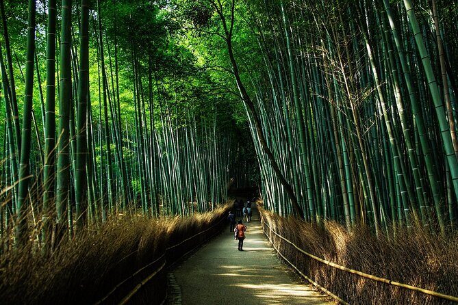 Kyoto: Private Flexible 3 hours tour with a local guide - Should you book this private flexible Kyoto tour?