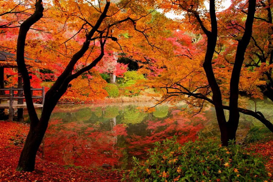 Kyoto: Private Full-Day Customizable World Heritage Tour - FAQ