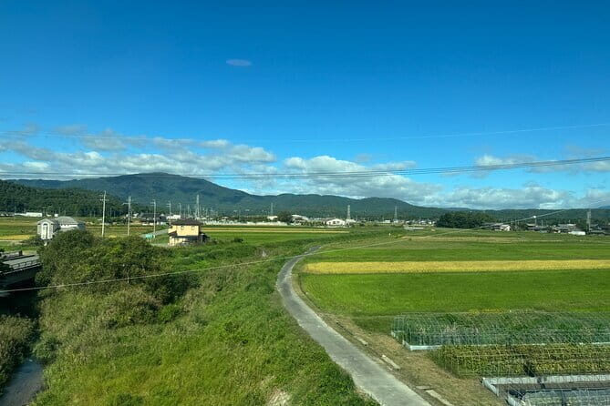 Kyoto Satoyama Cycling with Lunch and English Guide - Extra Experiences Included: Kimono Photo, Koto, Spring Water, and Mario Mountain
