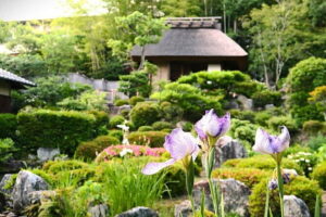 Kyoto Shogun Cycling Tour - Kinkakuji Temple (Golden Pavilion): gardens first, gold second