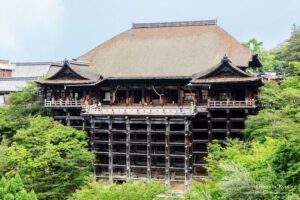 Kyoto tour with English Speaking Chauffeur - Price and Logistics: How the $500 Per Group Really Works