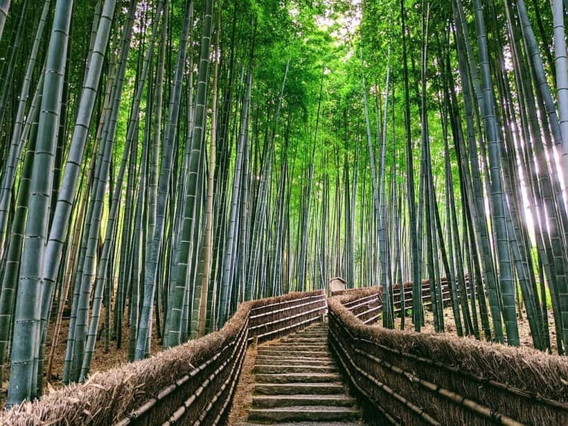 Kyoto:Quiet Arashiyama and Sagano Temples - Stop 1: Adashino Nenbutsu-ji and the heartless field story