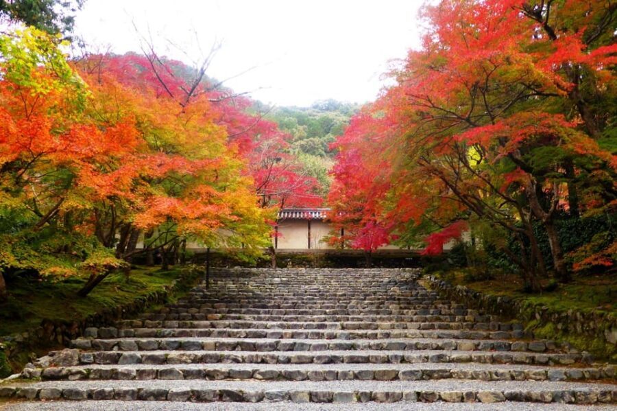 Osaka to Kyoto: Arashiyama Bamboo Grove Small Group Tour - Togetsukyo Bridge: your classic Kyoto shortcut over the river