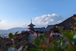 Private Guided Historical Sightseeing Tour in Kyoto - Meeting Up Without Losing Half Your Day