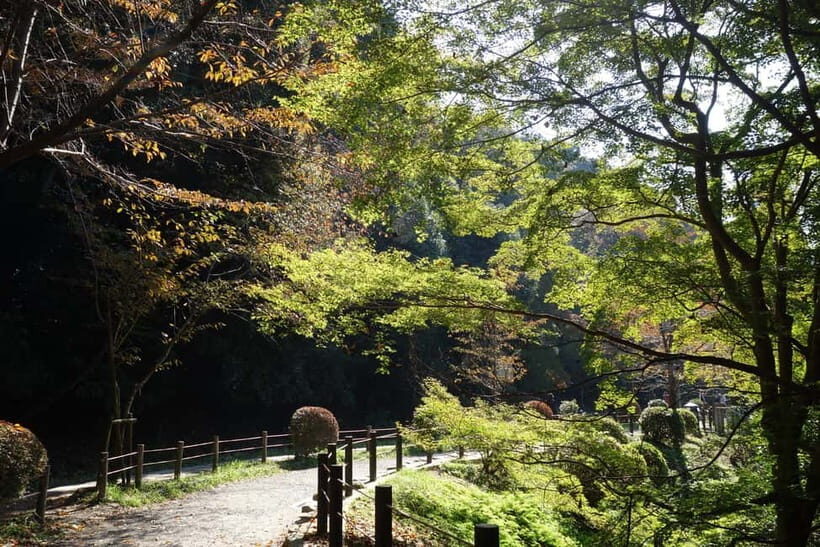 Sacred Pathways: Discover the Philosopher's Path of Kyoto - A short, smart booking checklist