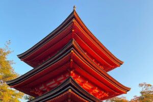 Single- & multi-day Adventures within Kyoto Nara Osaka Kobe - Your private vehicle, Wi‑Fi, and flexible routing (the real comfort wins)