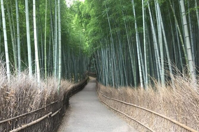 The Art of Geisha: Exclusive Show & Gion Walking Tour - Conversation time and respectful questions