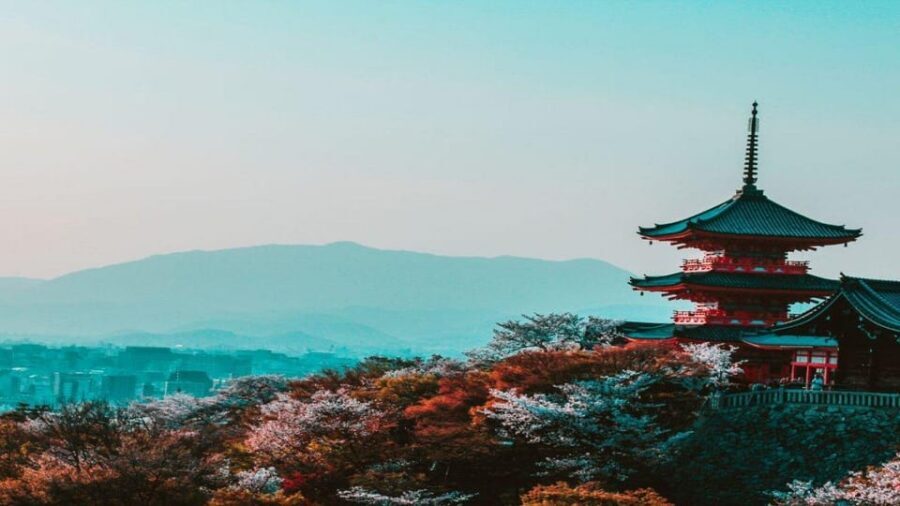 Treasures of Kyoto: Gion & historical Walking Tour - Pontocho Park and Nene-no-michi: photo stops with real context